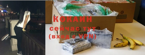 шишки Балабаново