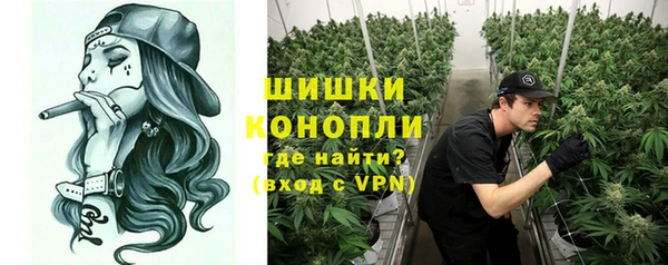 шишки Балабаново