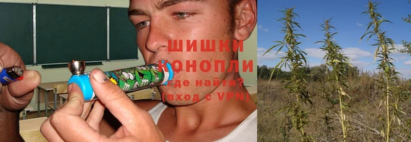 прущие крисы Коряжма
